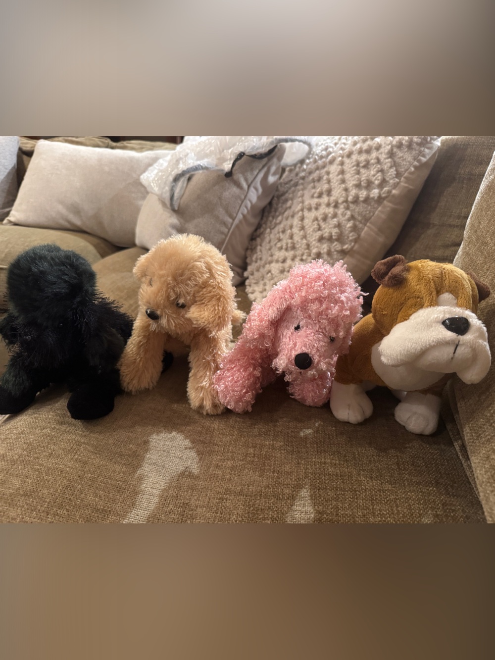 Plush Small Pet Toy Set - Pink, Brown, Black, Tan - Unbranded